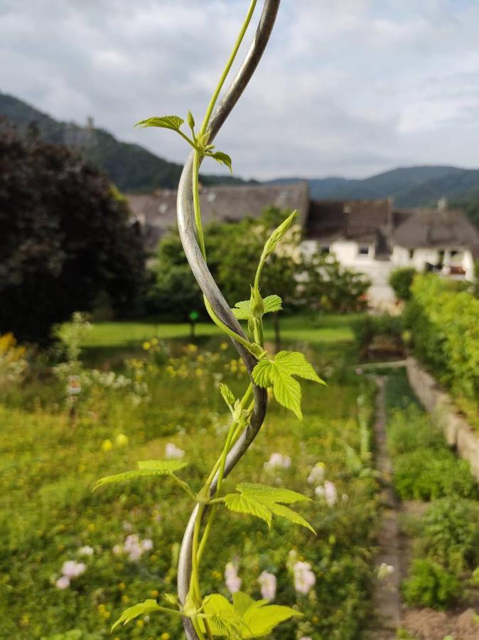Monkey Factory - Mini Home-Stay Hostel Traben-Trarbach Εξωτερικό φωτογραφία